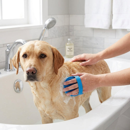Pet Bathing & Grooming Brush Set – Soft Rubber Massage Brushes for Dogs & Cats, 2-Pack | Snoutify