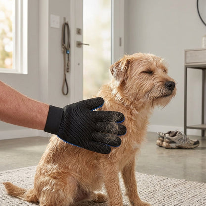 Pet Grooming Glove Set – Reusable Blue Hair Remover Gloves for Dogs & Cats, 1 Pair | Snoutify