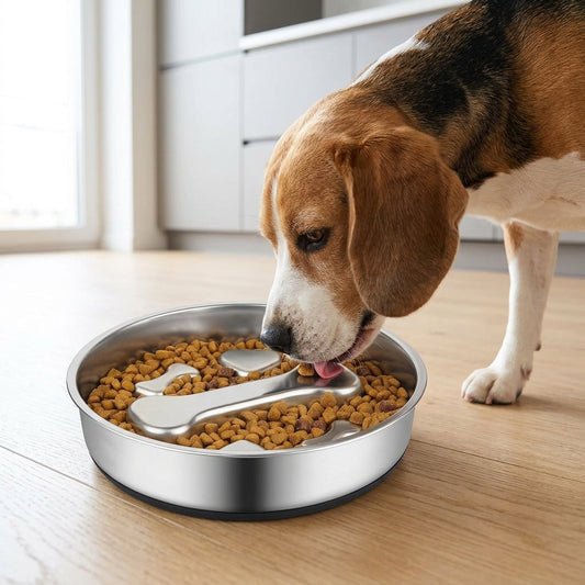 Stainless Steel Slow Feeder Bowl – 2-Cup Bone Maze Bowl for Dogs & Cats | Snoutify