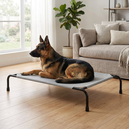 Elevated Cooling Dog Bed – 47.75" Large Outdoor & Indoor Dog Cot (Grey) | Snoutify