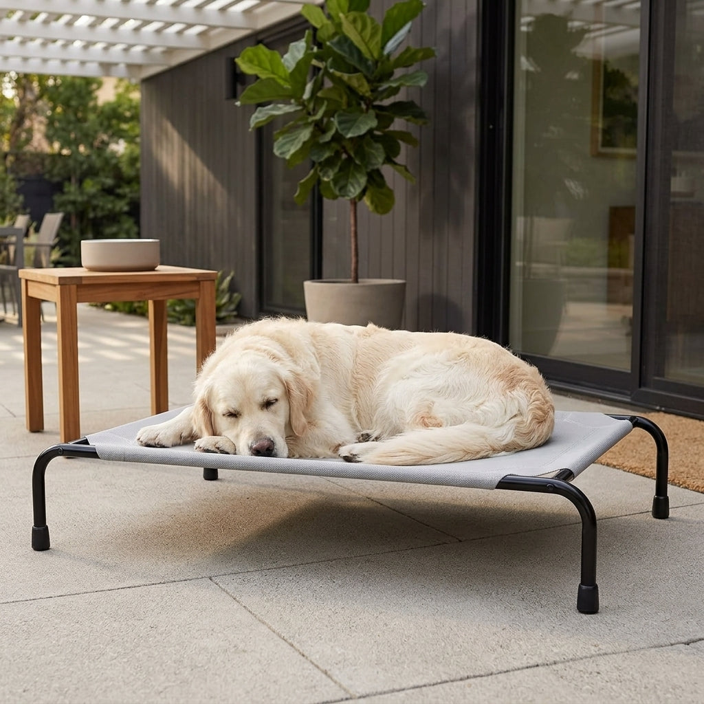 Elevated Cooling Dog Bed – 47.75" Large Outdoor & Indoor Dog Cot (Grey) | Snoutify